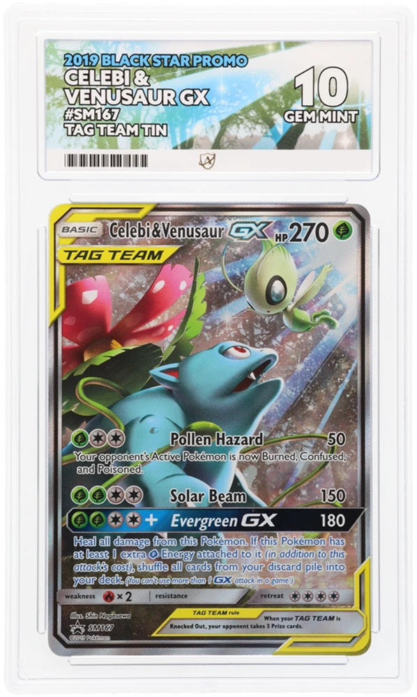 2019 CELEBI & VENUSAUR BSP